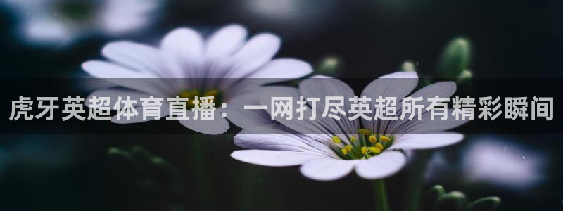 虎牙英超体育直播：一网打尽英超所有精彩瞬间
