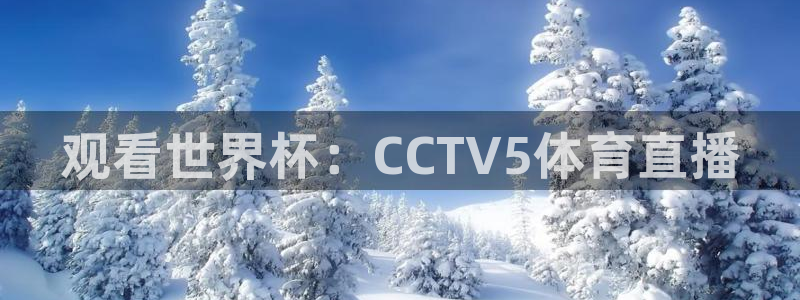观看世界杯：CCTV5体育直播