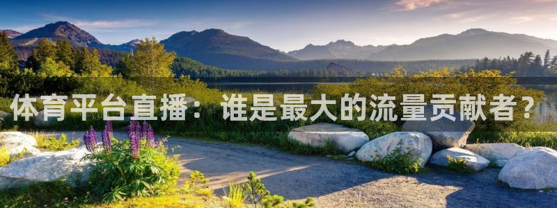 体育平台直播：谁是最大的流量贡献者？