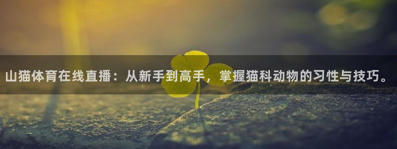 山猫体育在线直播：从新手到高手，掌握猫科动物的习性与技巧。