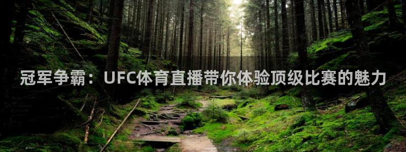 冠军争霸：UFC体育直播带你体验顶级比赛的魅力
