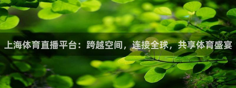 上海体育直播平台：跨越空间，连接全球，共享体育盛宴