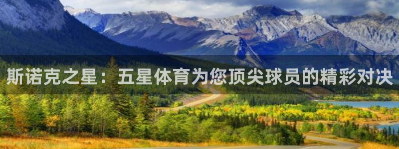 斯诺克之星：五星体育为您顶尖球员的精彩对决